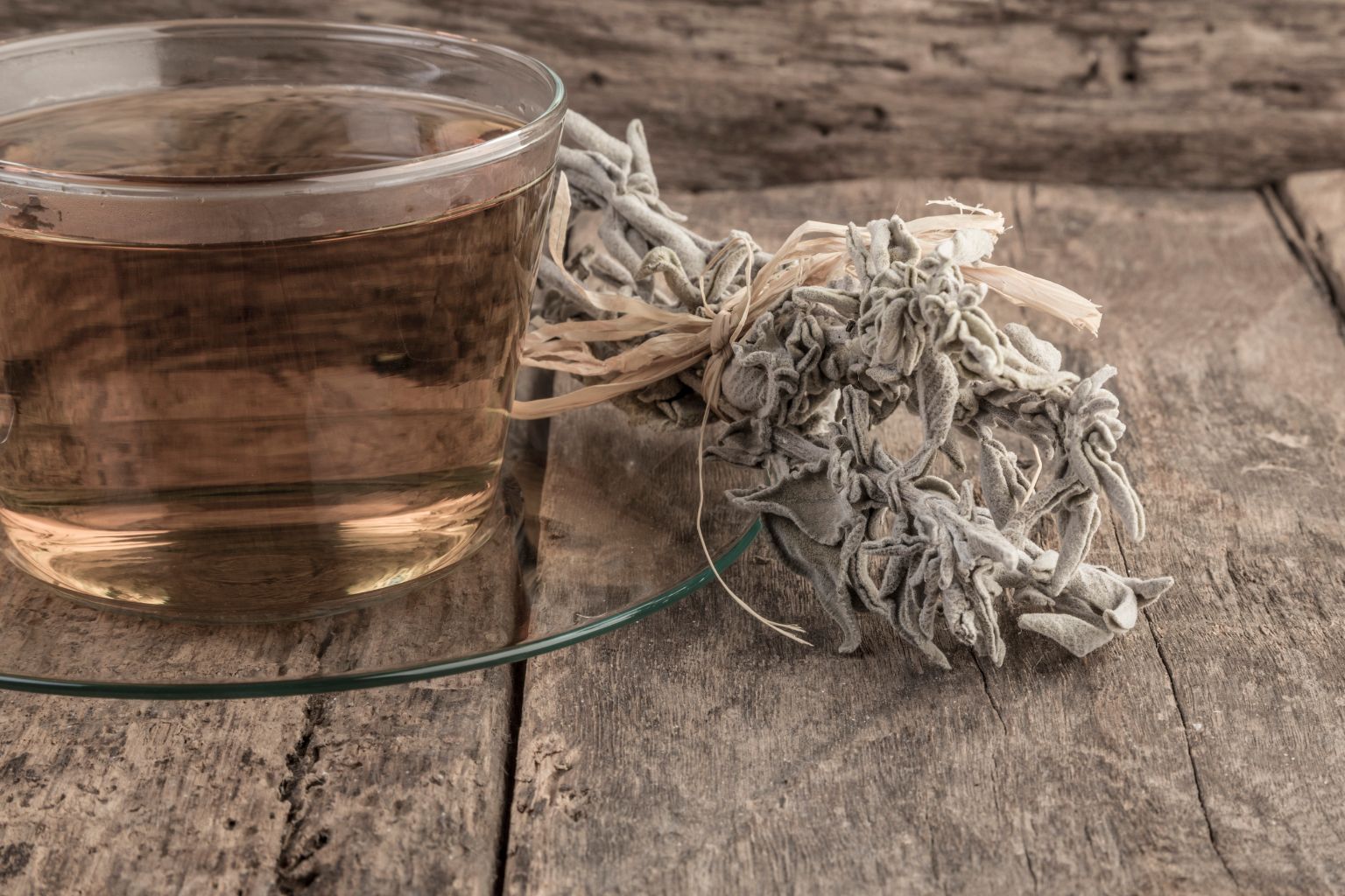 Herbata z szałwii – napar z liści Salvia officinalis