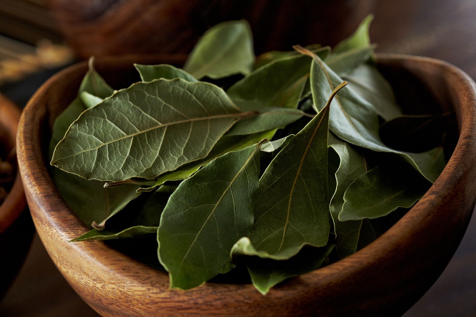 Liść laurowy na co pomaga – zastosowania i właściwości