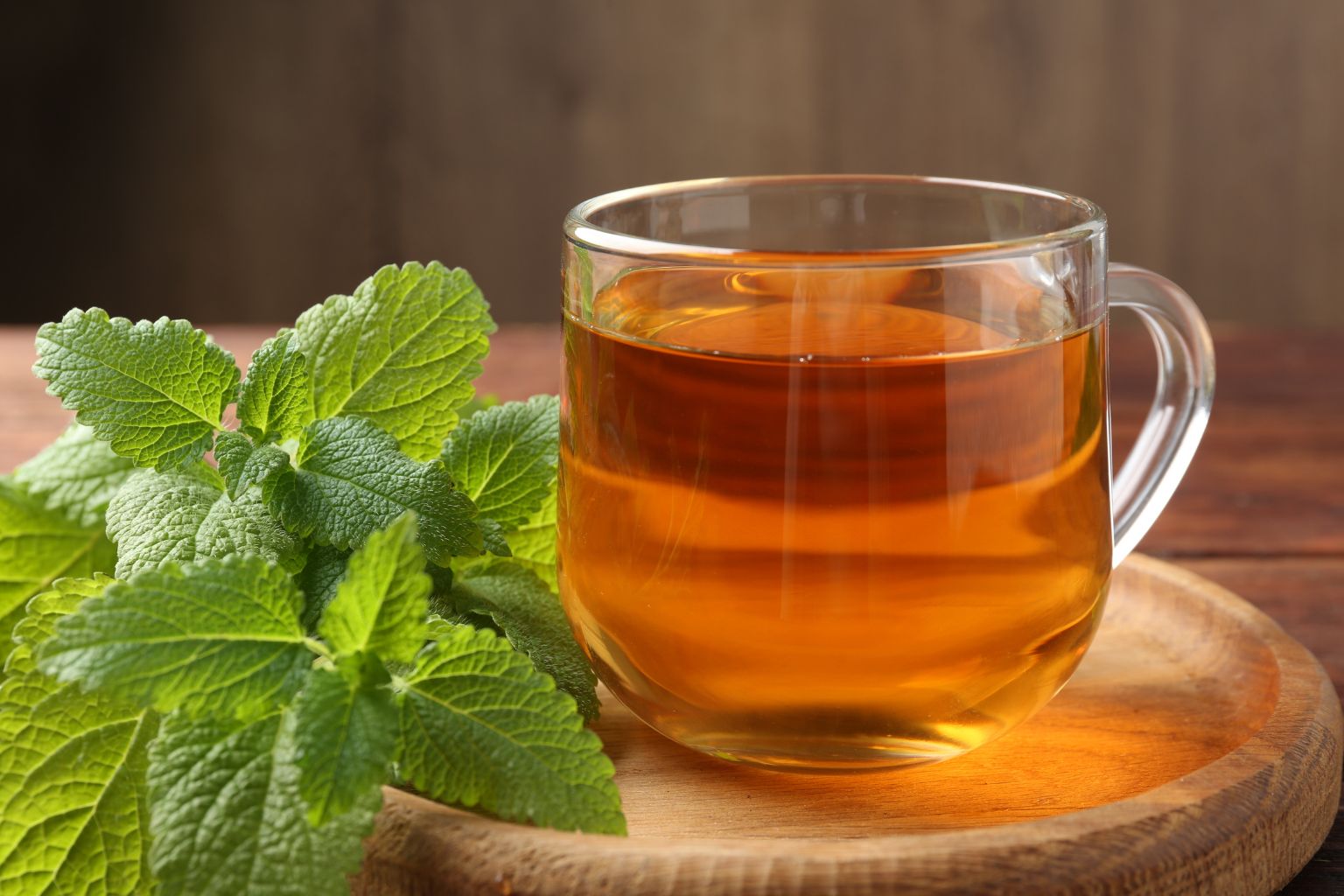 Napar z melisy w ceramicznym kubku obok suszonych ziół