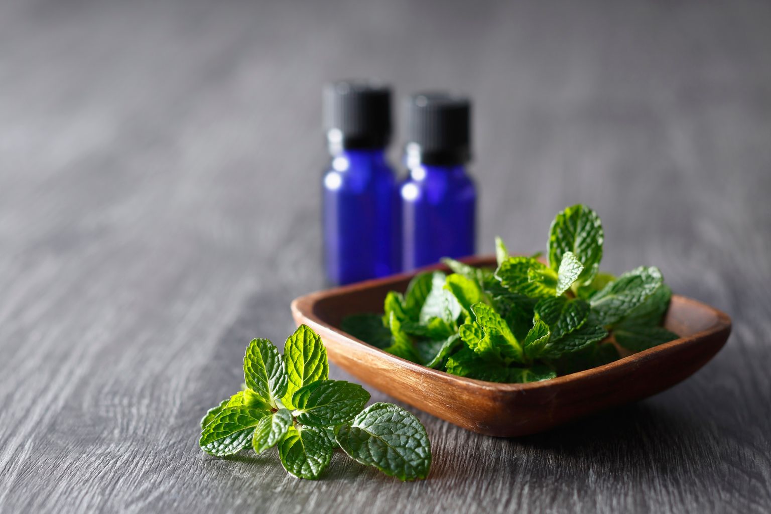 Olejek eteryczny z melisy w ciemnej butelce wśród świeżych liści