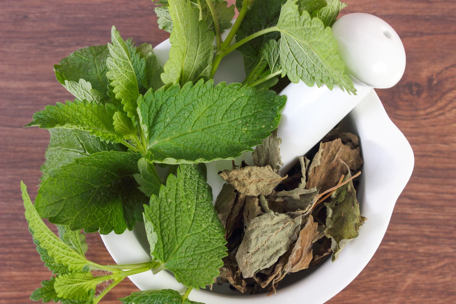 Suszone liście melisy na drewnianej łyżce