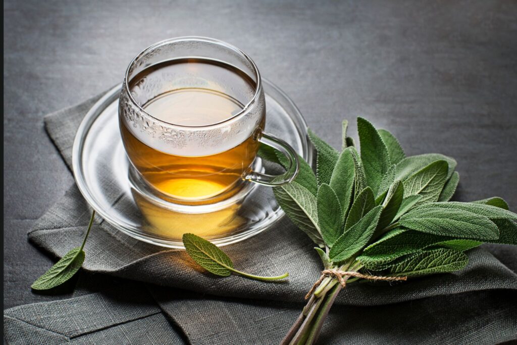 Szałwia Salvia officinalis – liście suszone, napar i olejek eteryczny