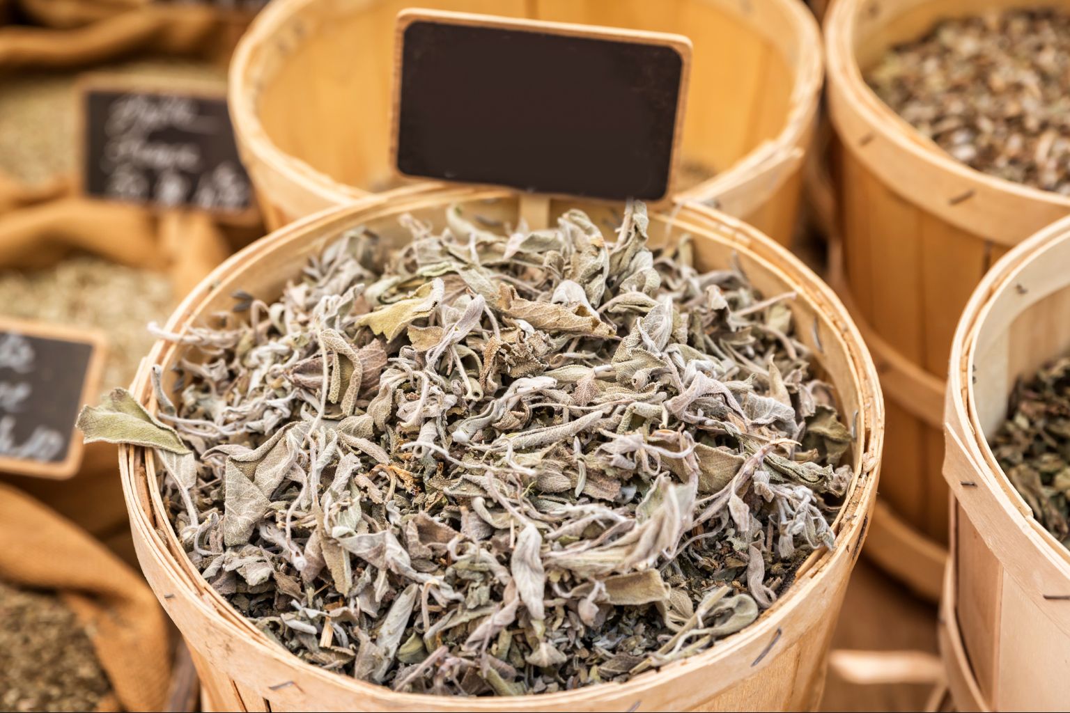 Szałwia Salvia officinalis – przeciwwskazania i zasady bezpieczeństwa stosowania