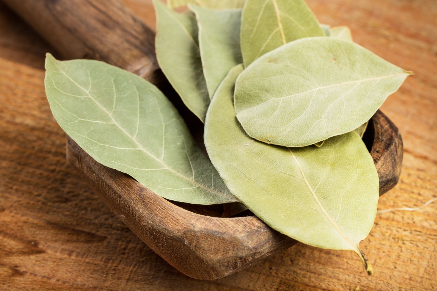 Tradycyjne zastosowania w kuchni laurowego